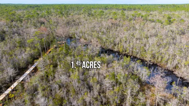 a view of a yard with trees