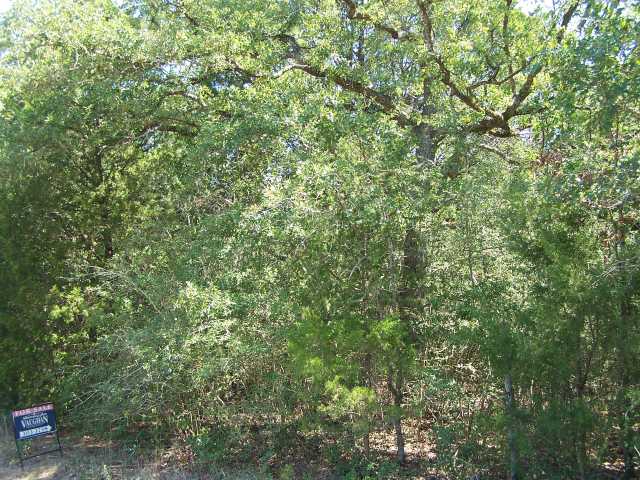 241 Flint Ridge Street Bastrop, TX 78602 - Photo 1 of 1 Gallery Image 1