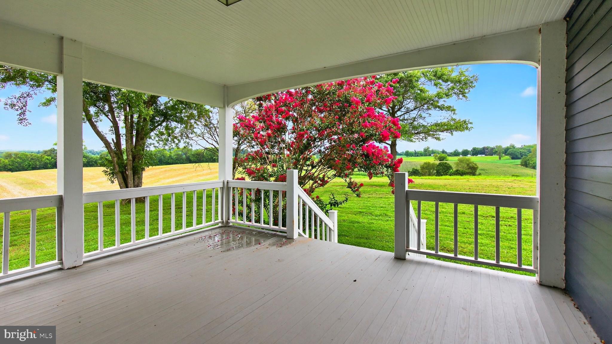 9534 Spring Hill Lane Rixeyville, VA 22737 - Photo 59 of 70 Front (side) Porch