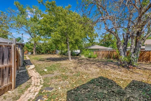 a view of a garden with a barbeque and large trees