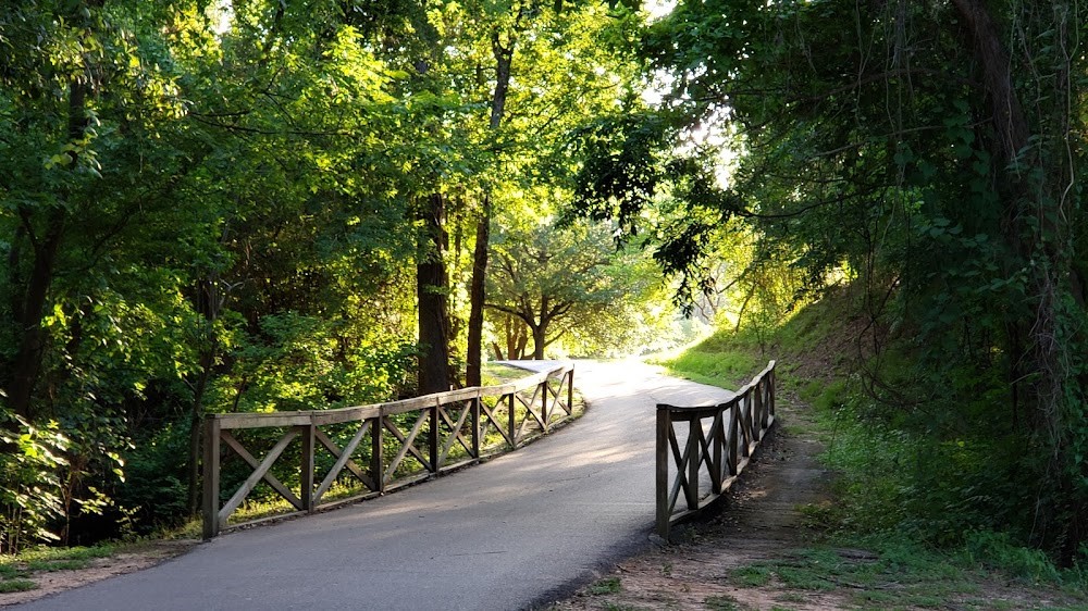 15686 Barkers Landing Road Houston, TX 77079 - Photo 32 of 32 a view of a pathway of a garden