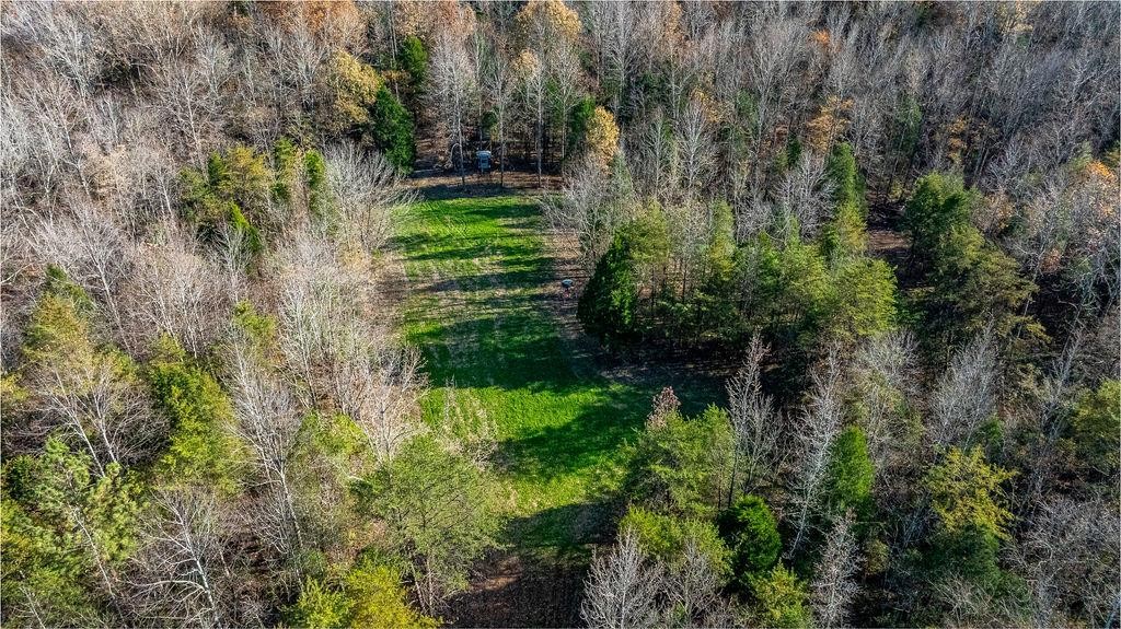 6301 Rochester Road Drakesboro, KY 42337 - Photo 6 of 8