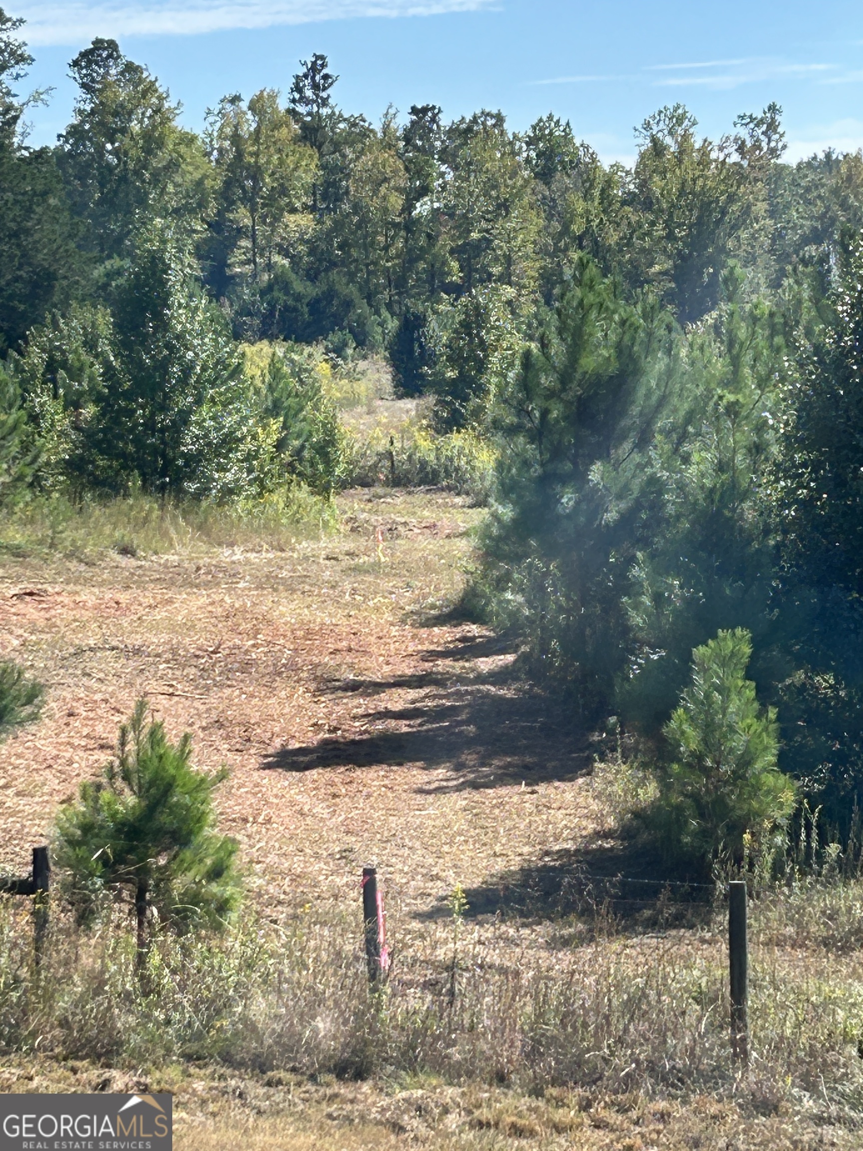 4946 Fayetteville Road Griffin, GA 30223 - Photo 11 of 12 a view of a yard with an trees