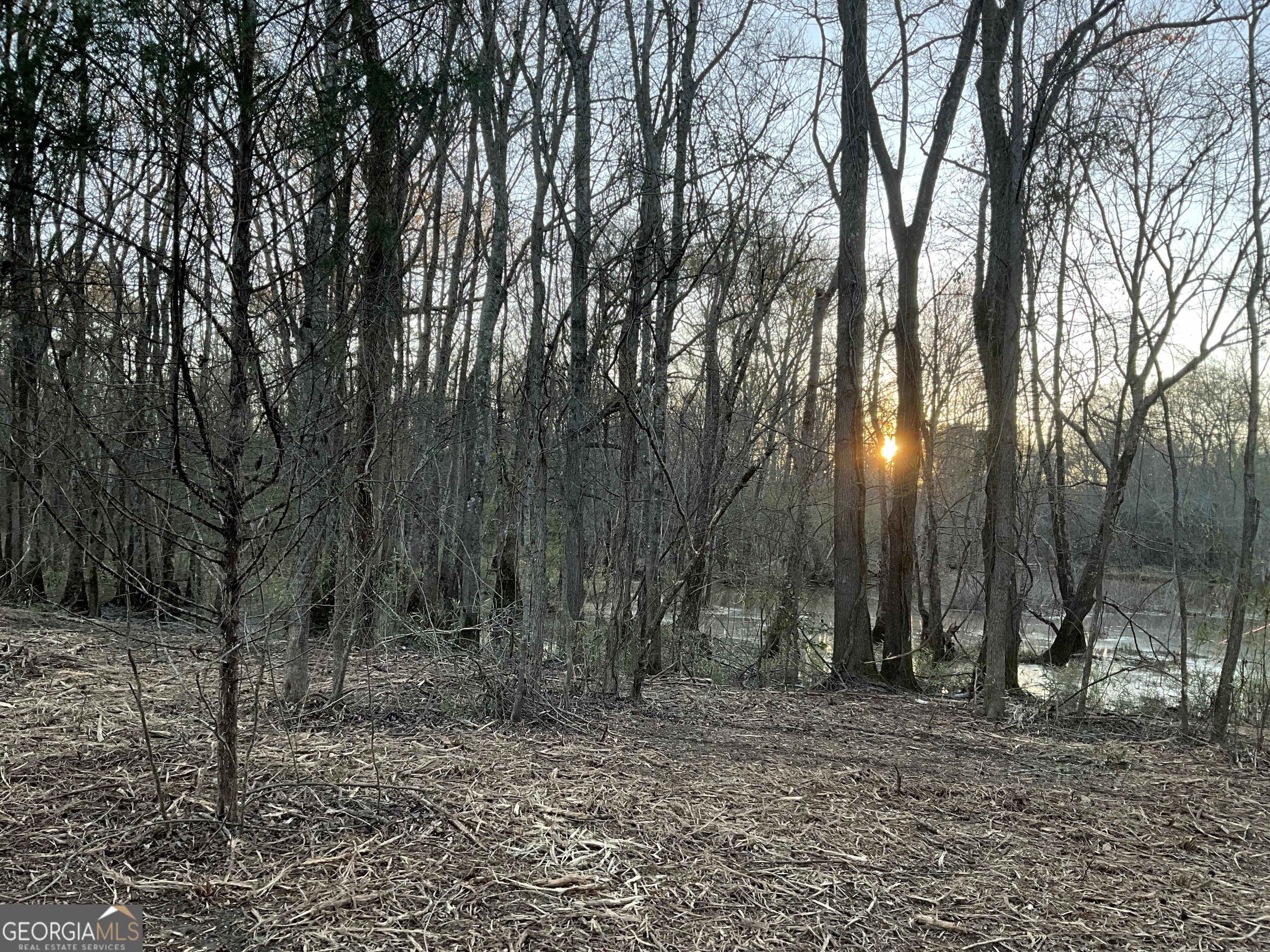 4946 Fayetteville Road Griffin, GA 30223 - Photo 3 of 12 a view of a forest with trees