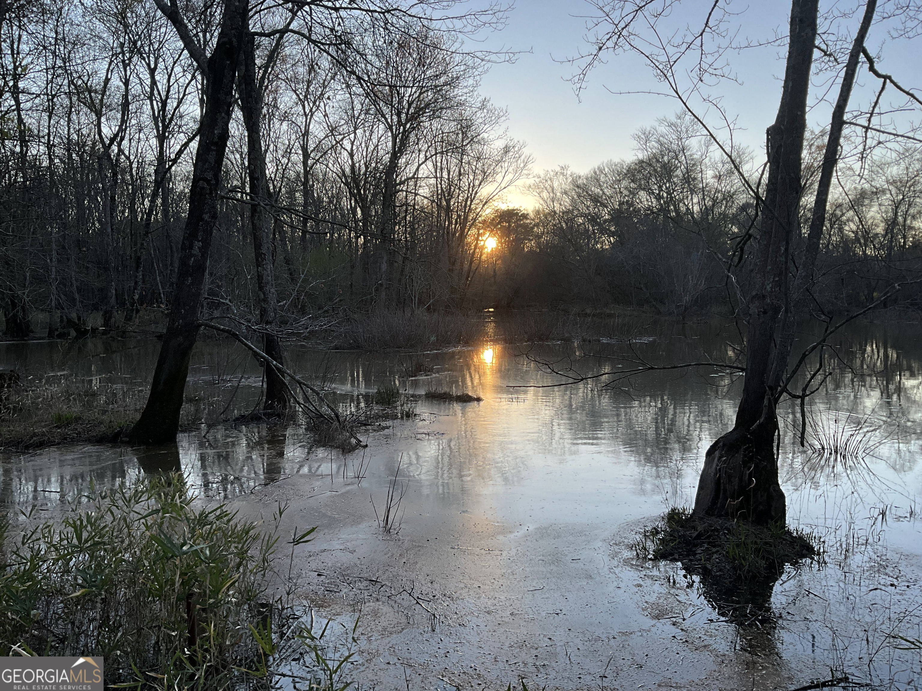 4946 Fayetteville Road Griffin, GA 30223 - Photo 4 of 12 a view of a lake view