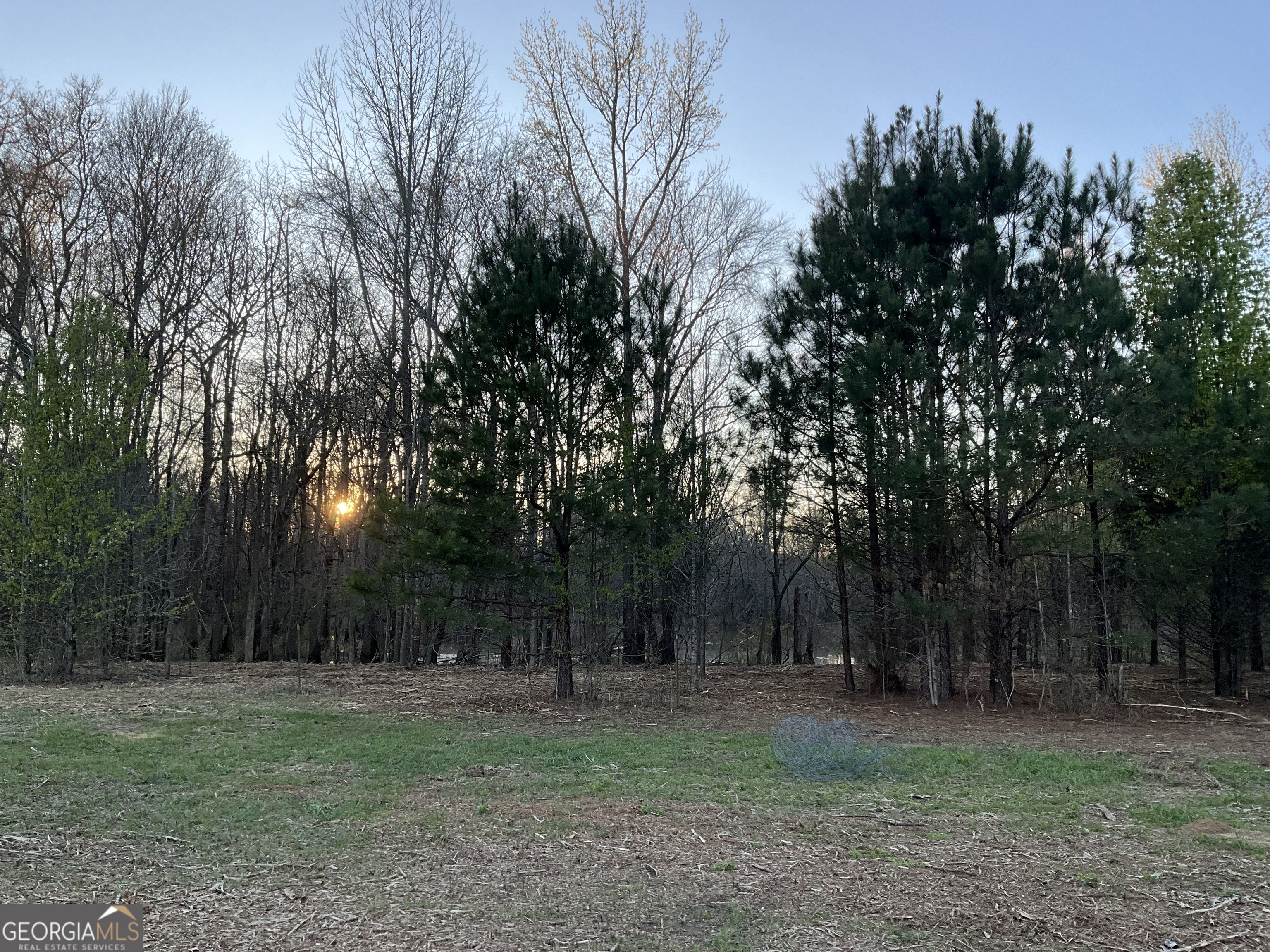 4946 Fayetteville Road Griffin, GA 30223 - Photo 6 of 12 a view of a backyard with large trees