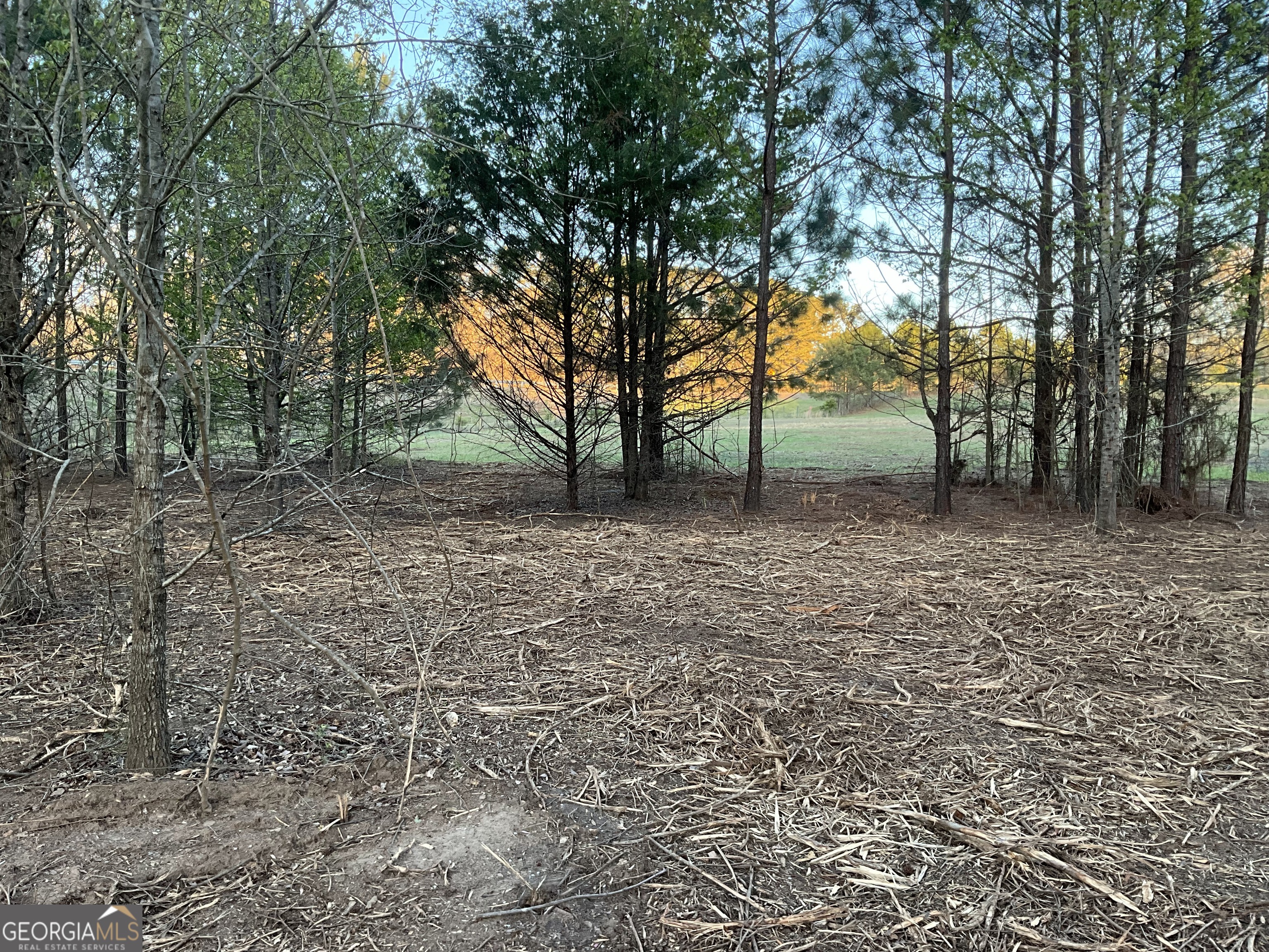 4946 Fayetteville Road Griffin, GA 30223 - Photo 7 of 12 a backyard of a house with lots of trees