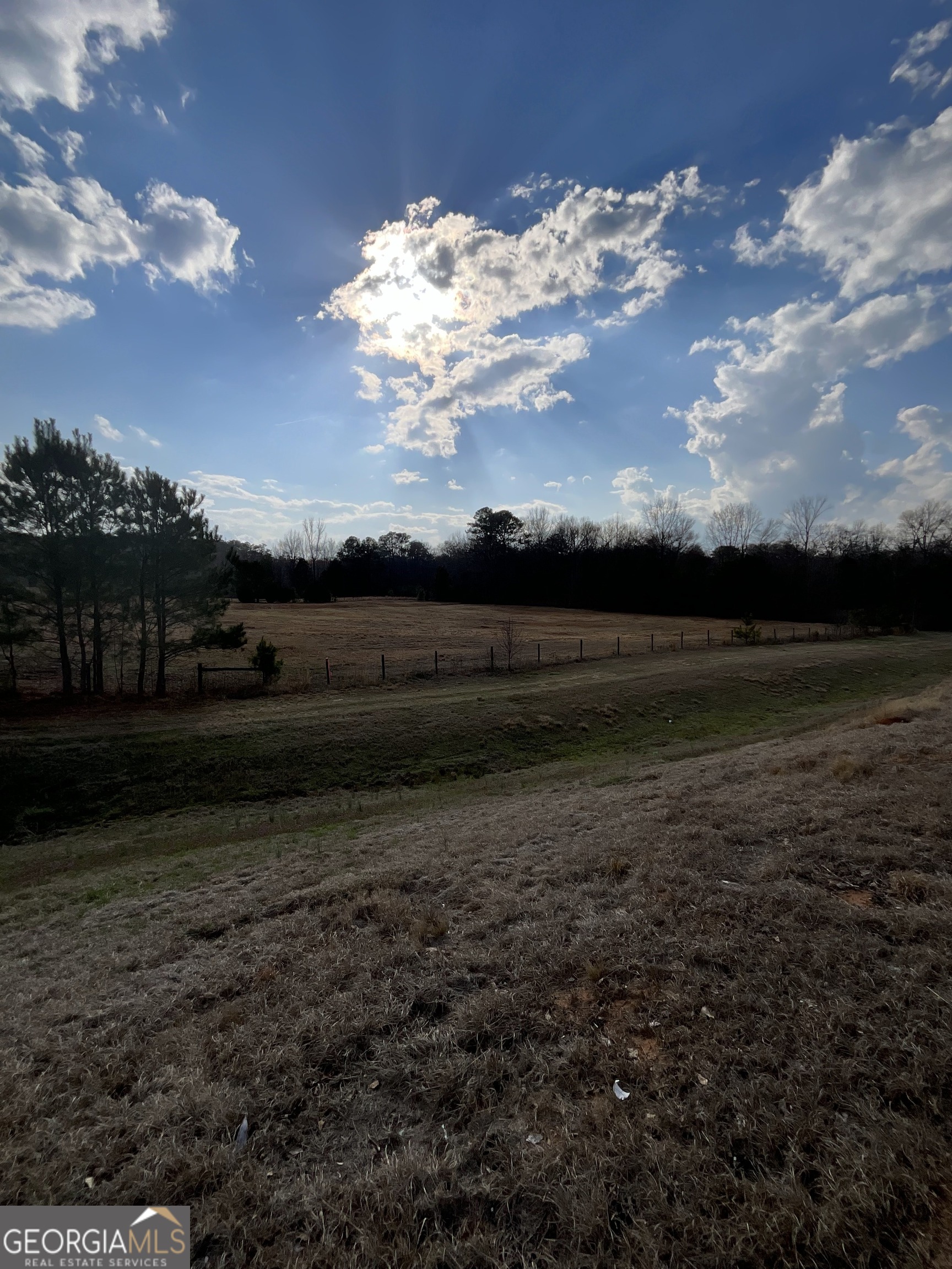 4946 Fayetteville Road Griffin, GA 30223 - Photo 8 of 12 a view of a yard