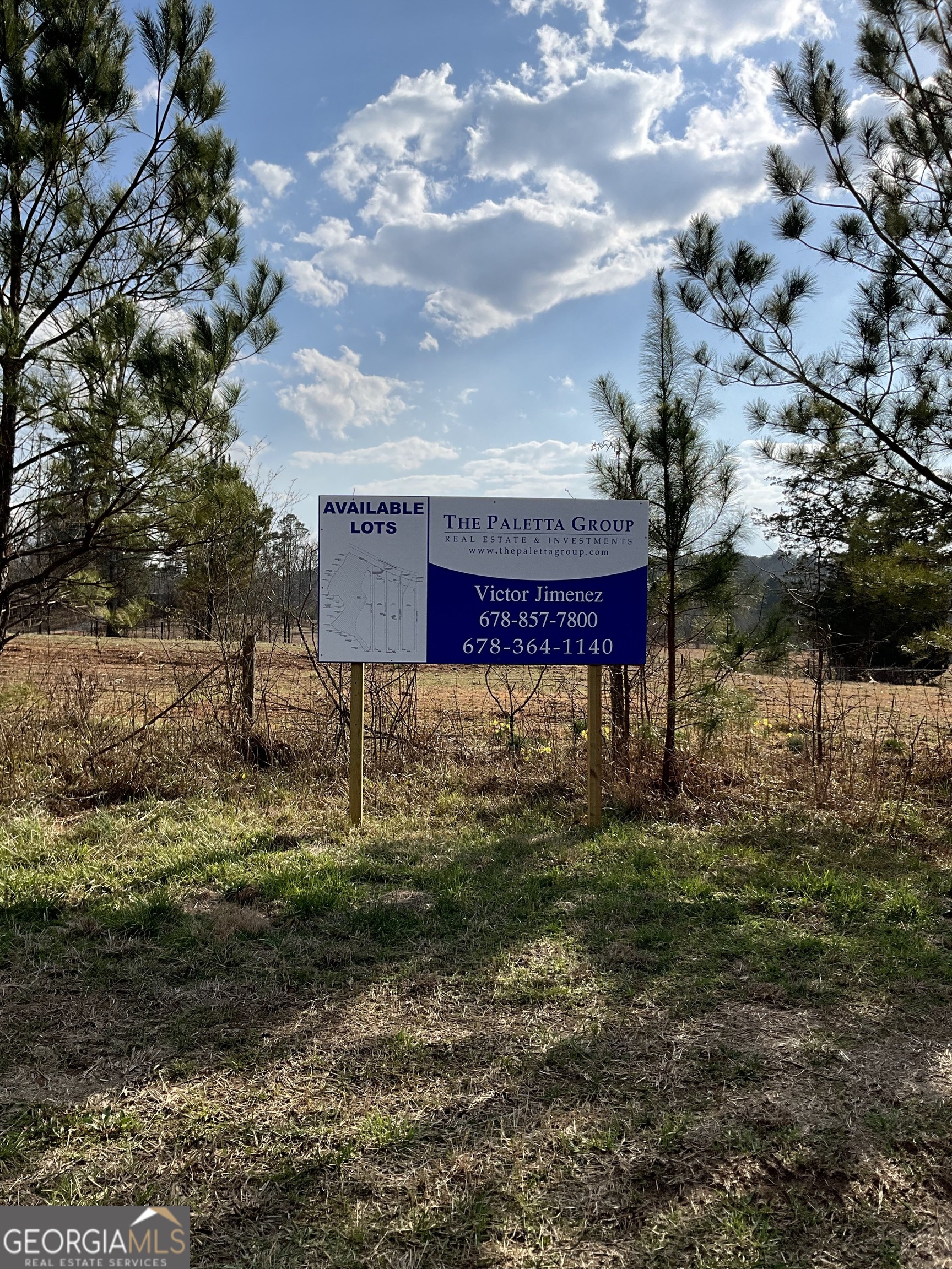 4946 Fayetteville Road Griffin, GA 30223 - Photo 10 of 12 a green field with lots of trees