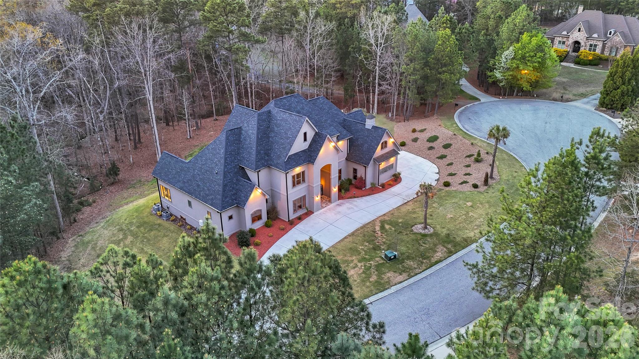 220 Palm Cove Way York, SC 29745 - Photo 3 of 46