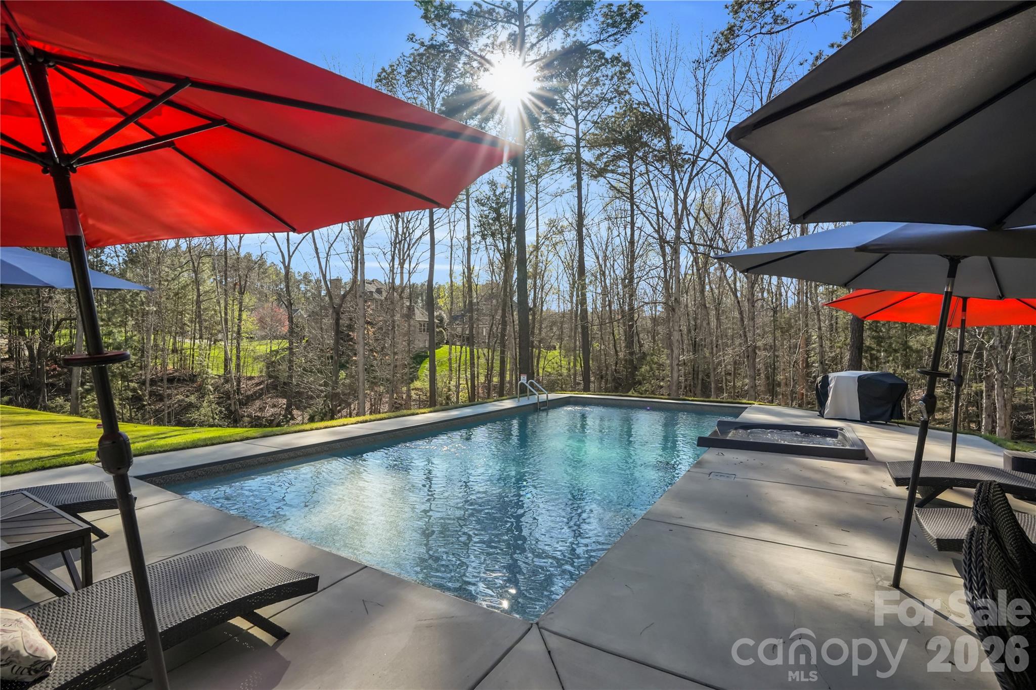 220 Palm Cove Way York, SC 29745 - Photo 42 of 46