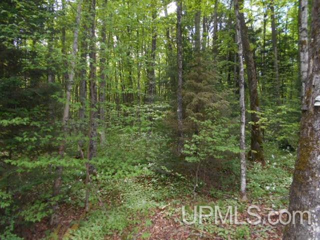 Tbd Palmquist Road Florence, WI 54120 - Photo 1 of 5
