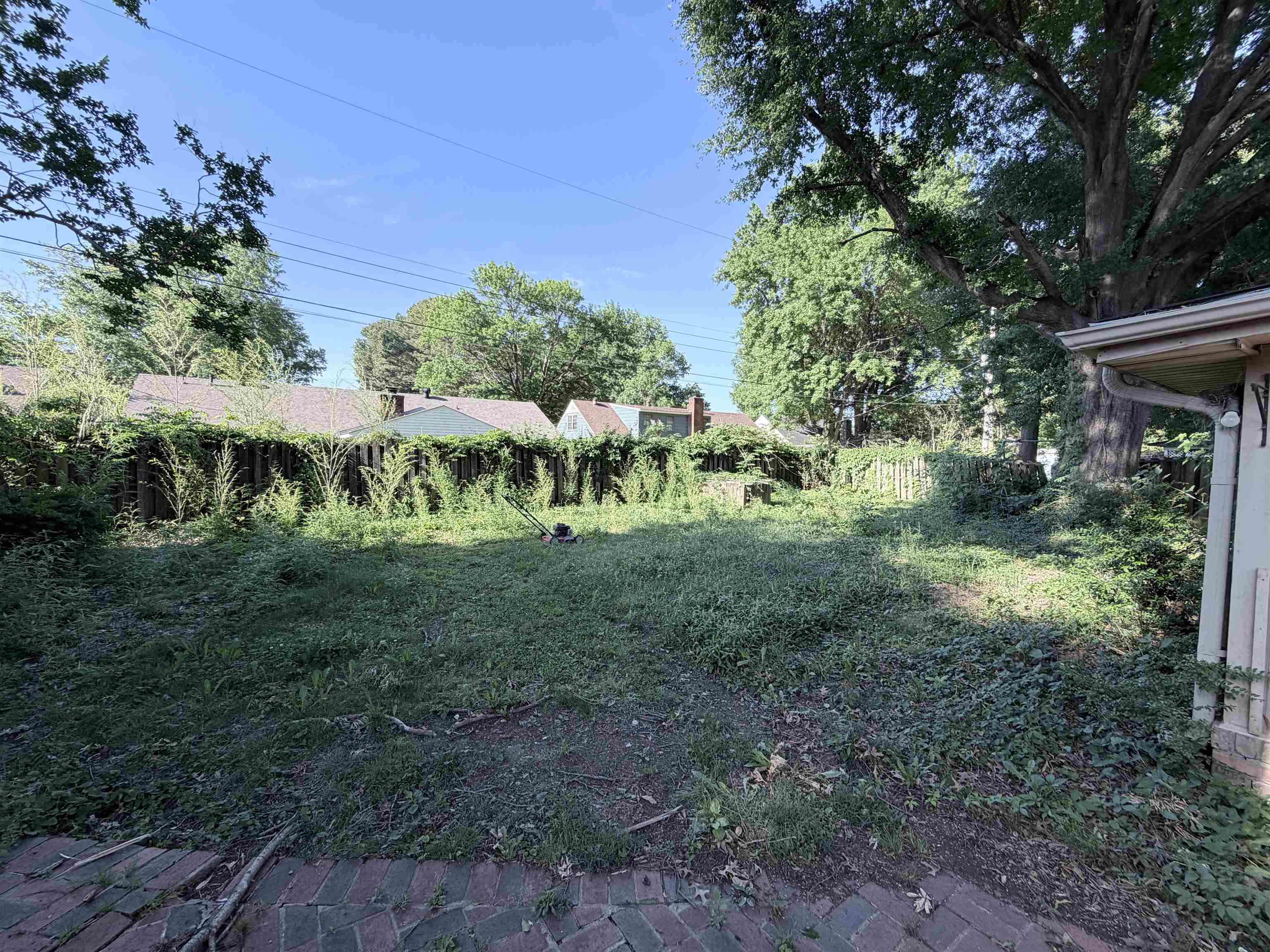 5536 Cottonwood Road Memphis, TN 38115 - Photo 2 of 28 Expansive outdoor space featuring mature trees providing natural shading, a privacy fence, and a brick patio area