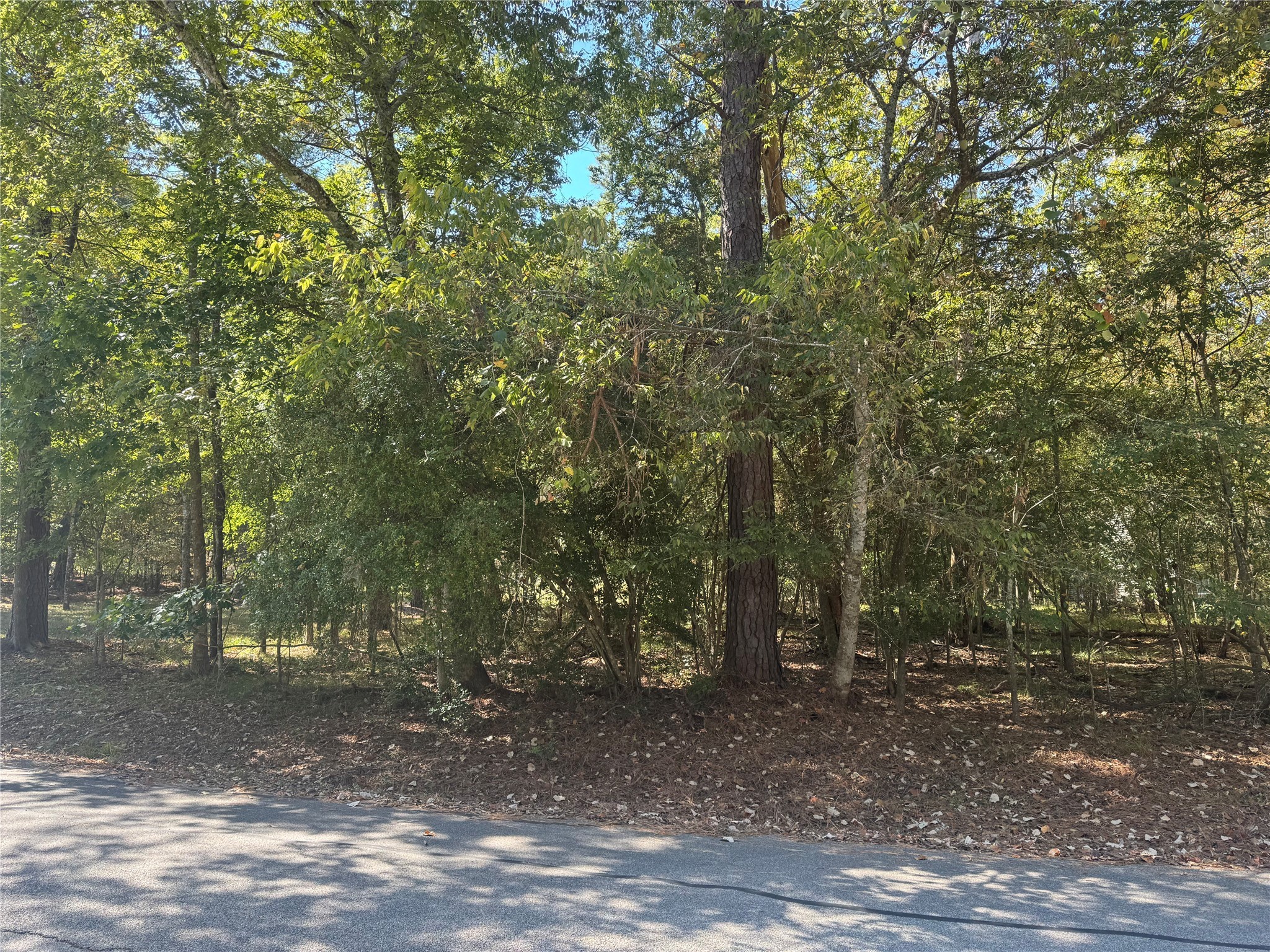 176 North Fairway Loop Coldspring, TX 77331 - Photo 1 of 12 This vacant lot in the gated community of Cape Royale is ready for you to start planning your dream home