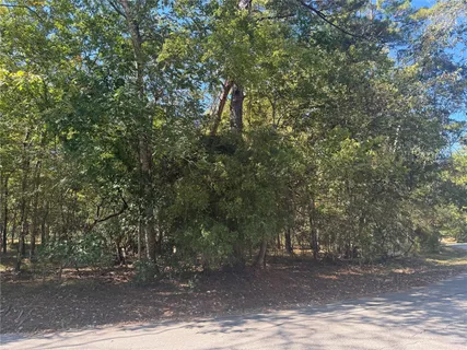 $27,000 | 176 North Fairway Loop, Coldspring, TX 77331