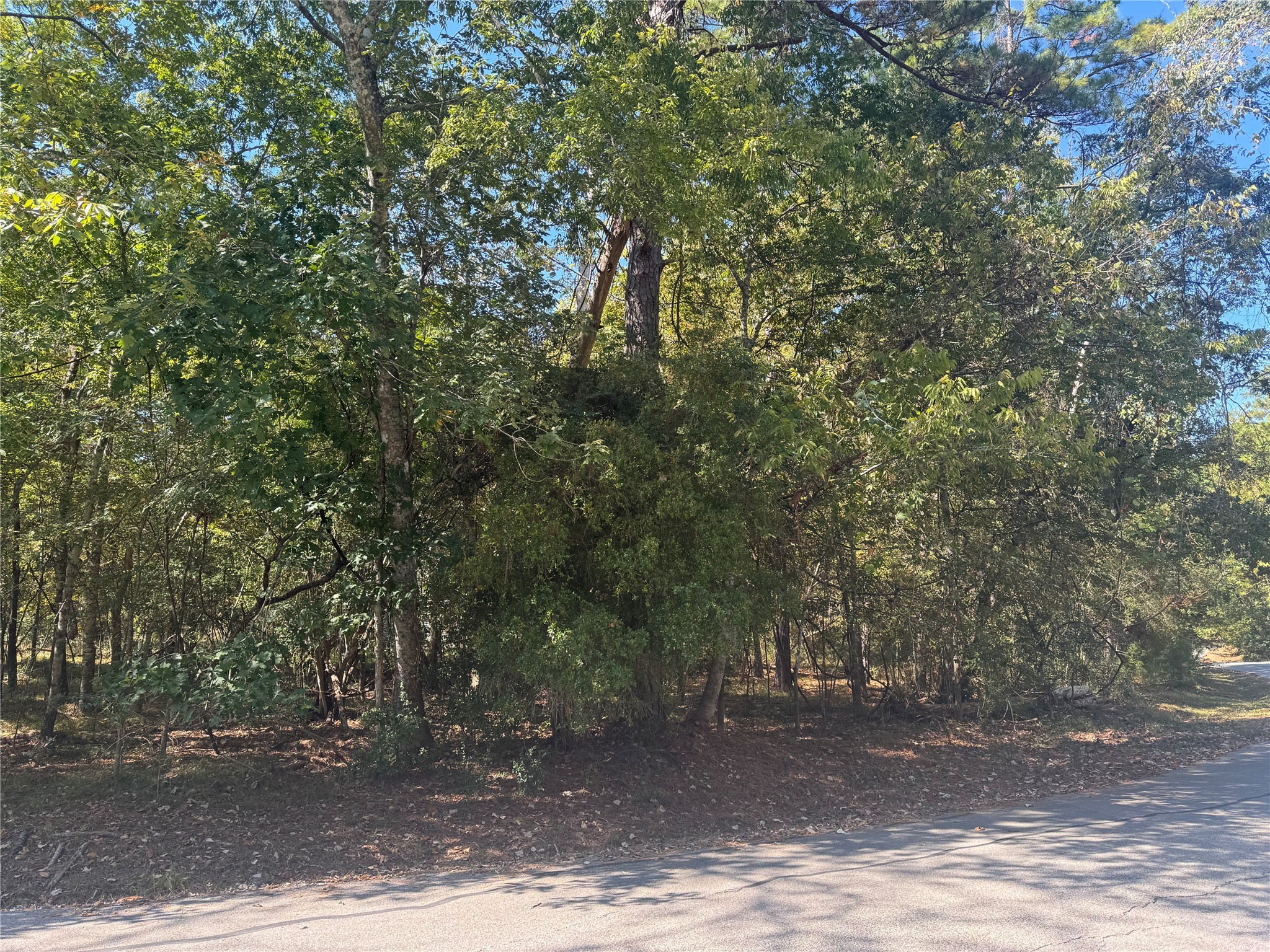 176 North Fairway Loop Coldspring, TX 77331 - Photo 2 of 12 The lot is level and in a nice location