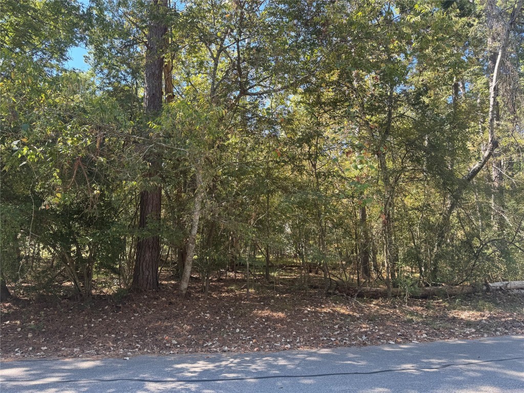 176 North Fairway Loop Coldspring, TX 77331 - Photo 3 of 12 a view of a forest