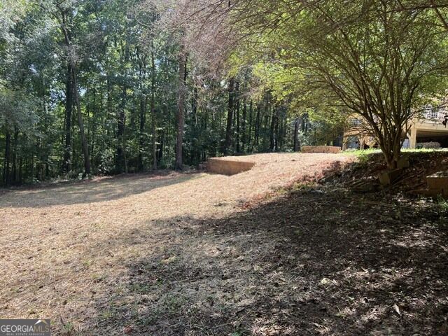 196 Old Scout Road Jackson, GA 30233 - Photo 33 of 38 Gallery Image 33