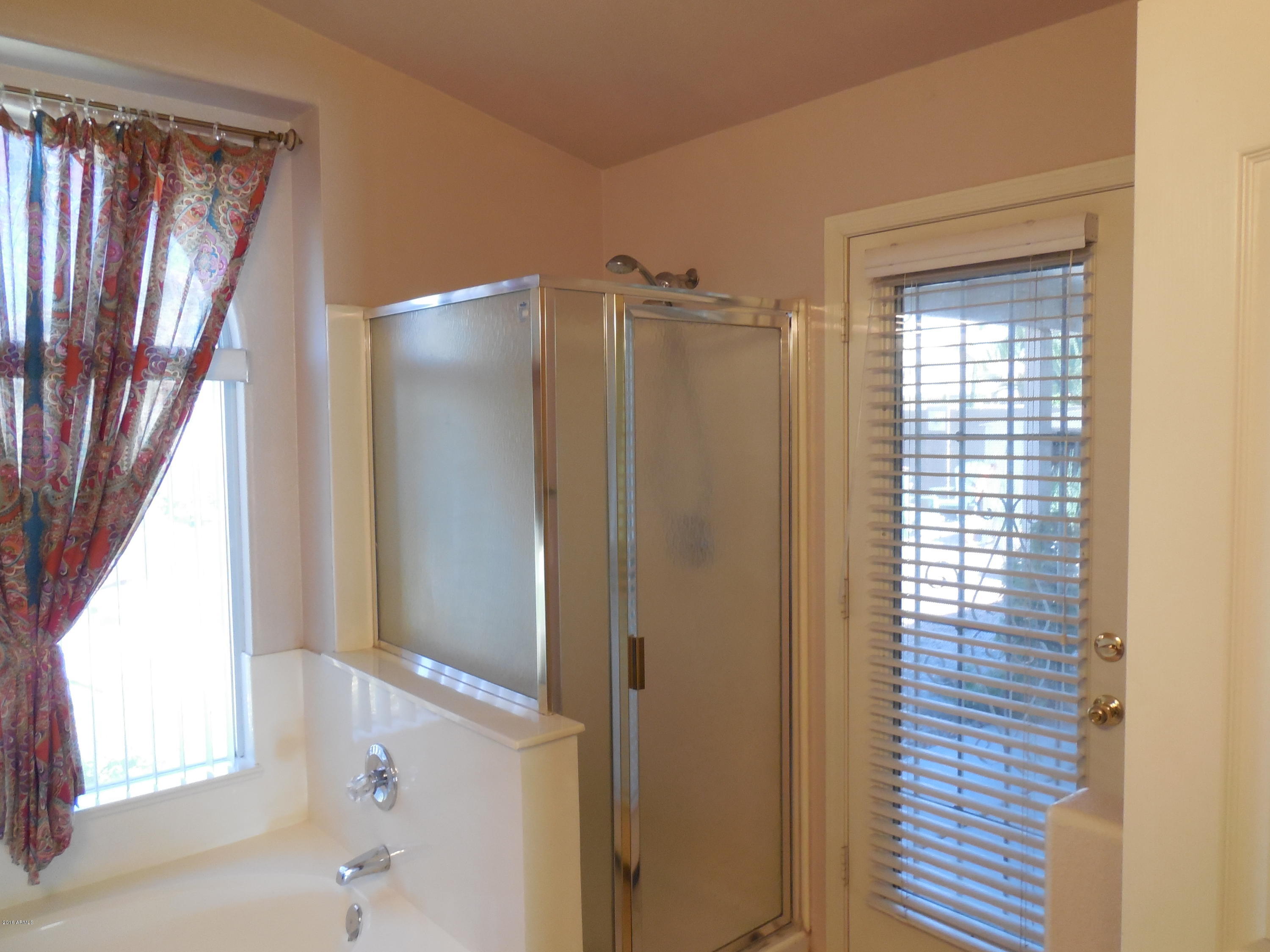 12462 West Granada Road Avondale, AZ 85392 - Photo 11 of 26 MASTER SHOWER