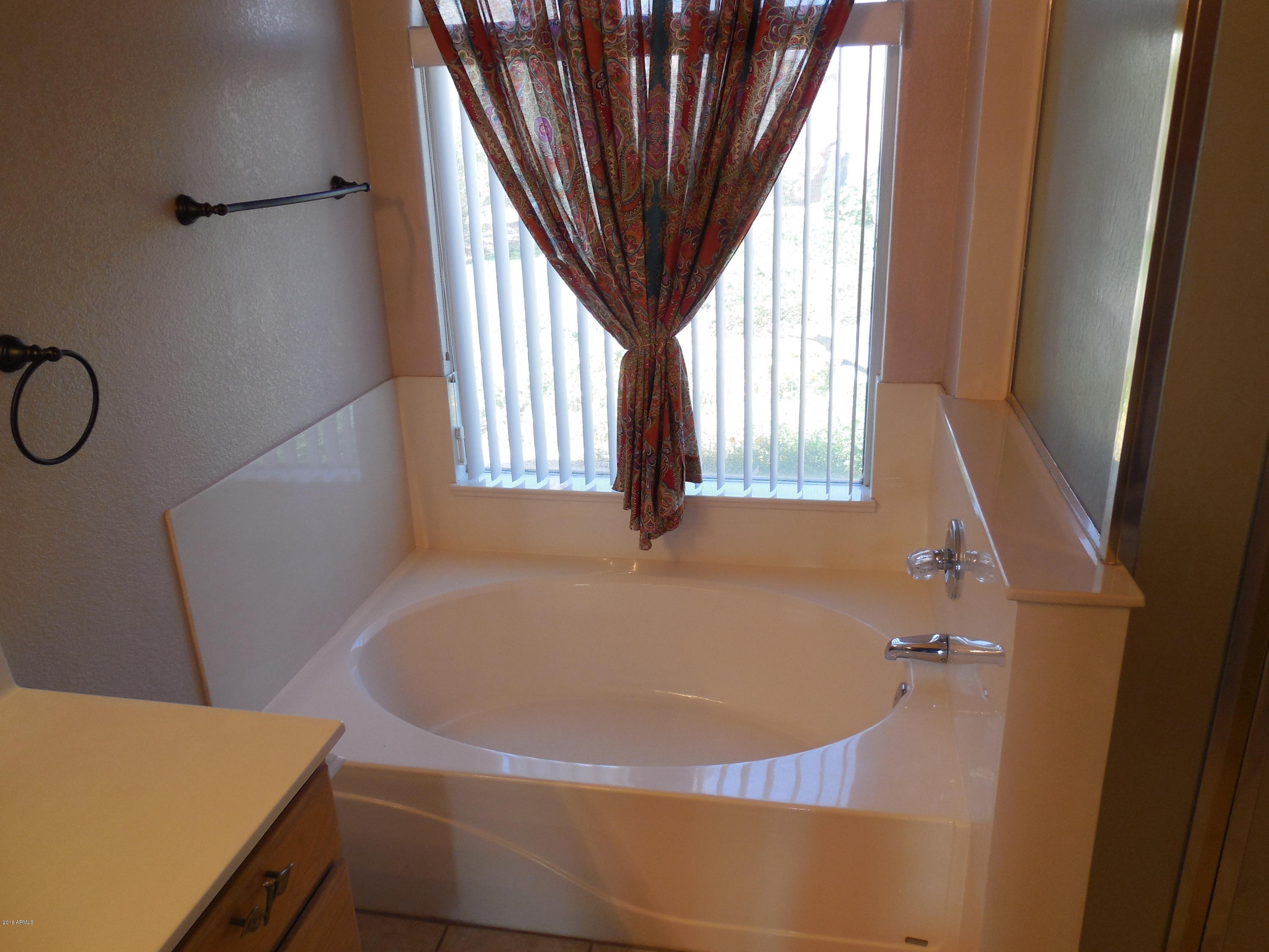 12462 West Granada Road Avondale, AZ 85392 - Photo 12 of 26 MASTER TUB