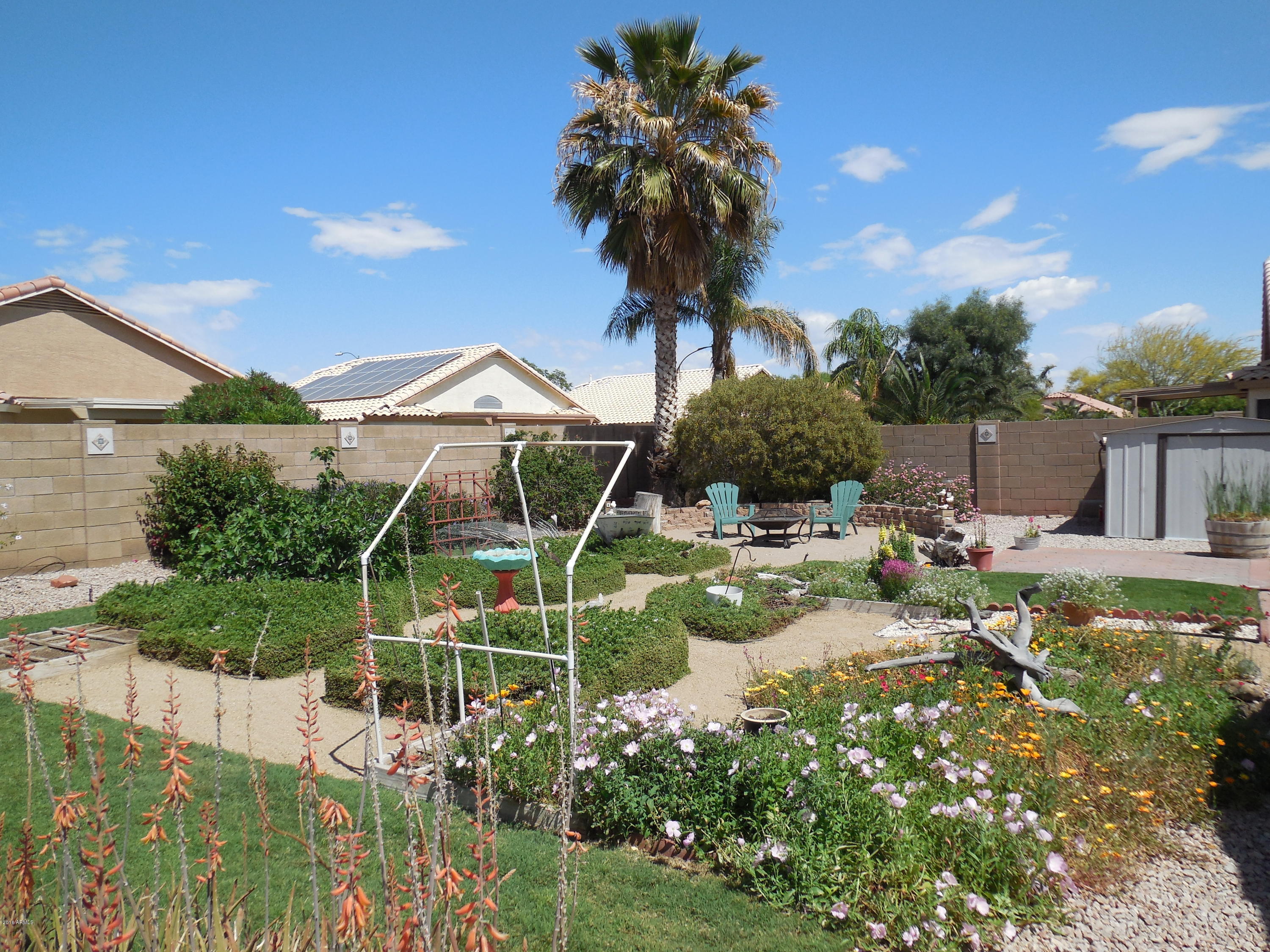 12462 West Granada Road Avondale, AZ 85392 - Photo 23 of 26 BACKYARD LOOKING NORTHEAST
