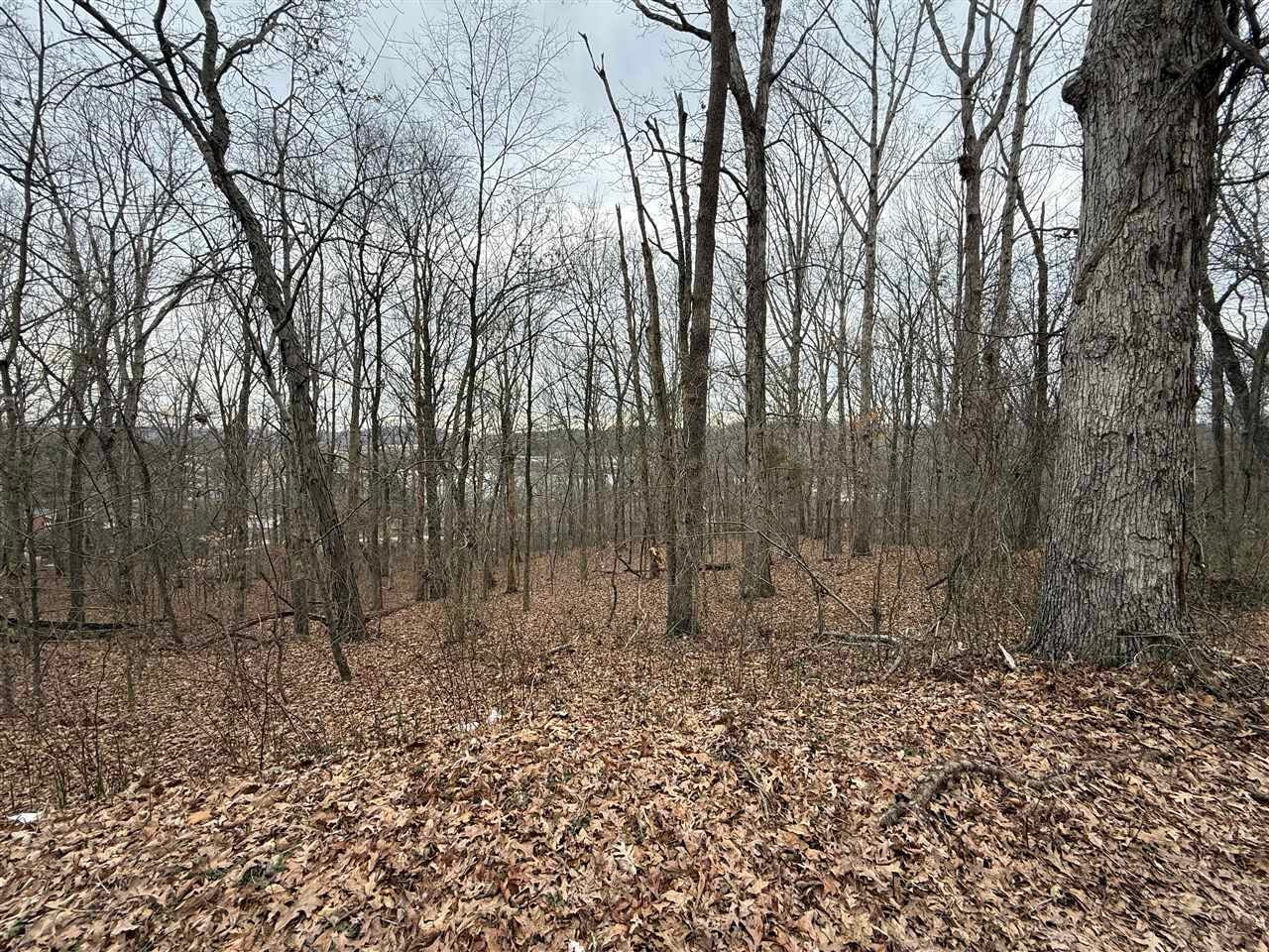 0 Pitcher Road South Morgantown, KY 42261 - Photo 5 of 18 Gallery Image 5