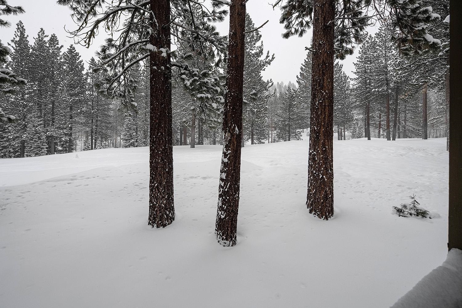 148 Basque Drive Truckee, CA 96161 - Photo 20 of 21 a street view