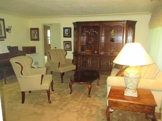 14033 Tuttle Hill Road Milan, MI 48160 - Photo 3 of 10 Photo 3