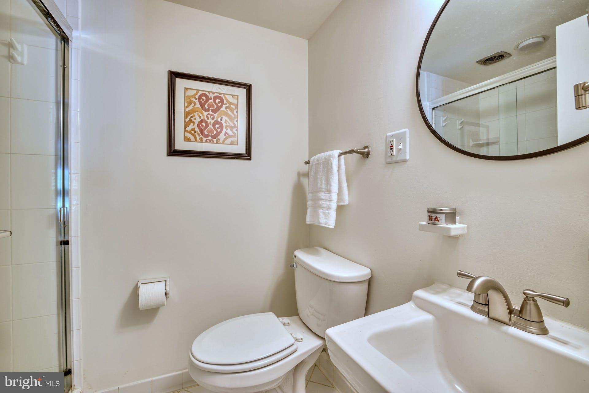 1629 Courtland Road Alexandria, VA 22306 - Photo 42 of 59 Updated full bath on Lower LVL w/ a walk in shower