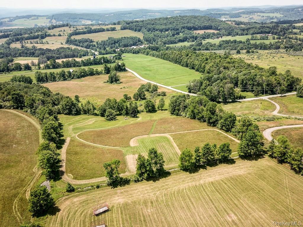 Beechwoods Road Callicoon, NY 12723 - Photo 4 of 7 an aerial view of a house