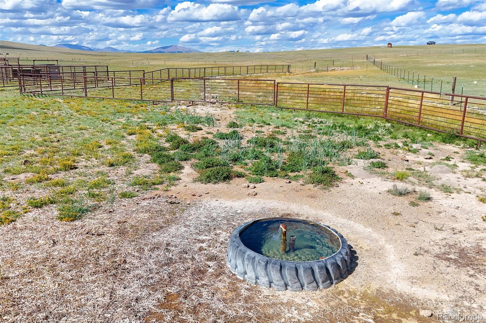 Badger Road Hartsel, CO 80449 - Photo 3 of 22 a view of swimming pool