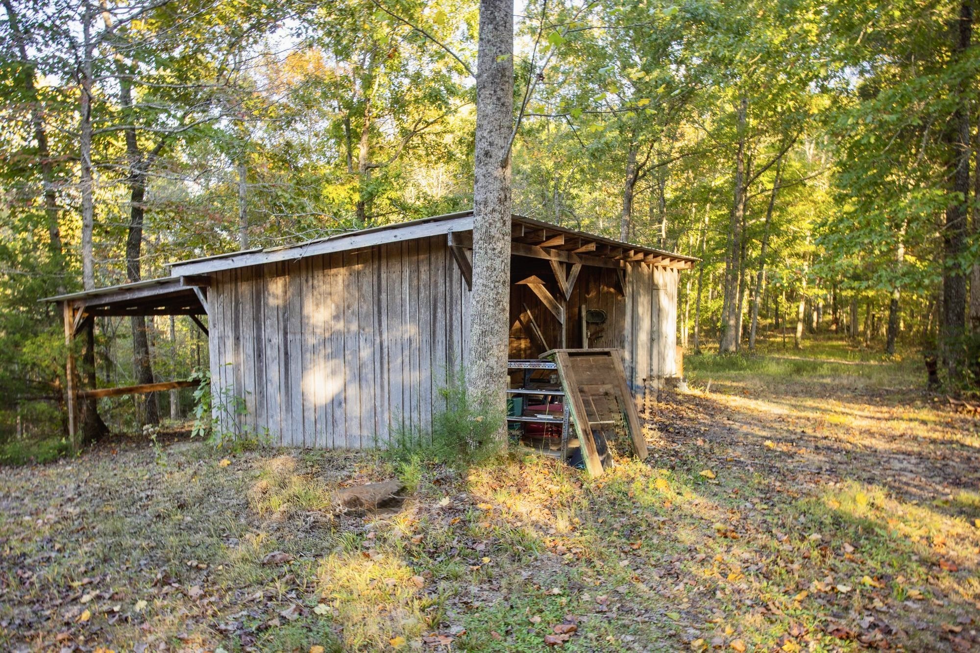 1420 Pack Road White Bluff, TN 37187 - Photo 43 of 47 a backyard of a house with lots of green space and wooden fence