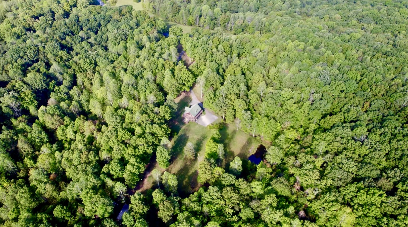 1420 Pack Road White Bluff, TN 37187 - Photo 44 of 47 a view of a lush green field