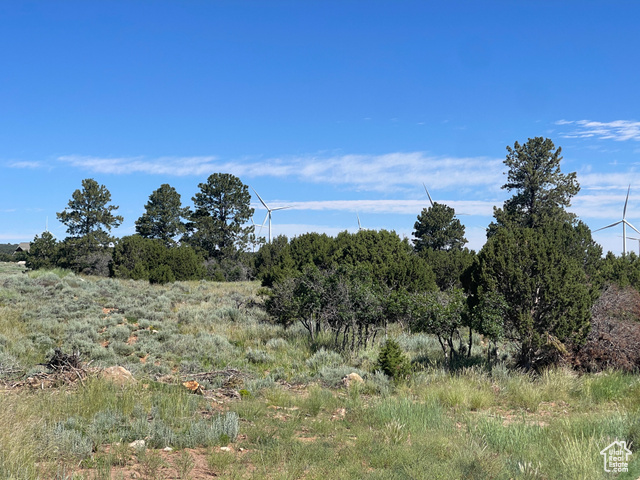 0 North Creek Road Monticello, UT 84535 - Photo 10 of 13 View of undeveloped land