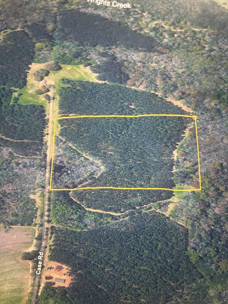 644 Case Road Slocomb, AL 36375 - Photo 22 of 24 Gallery Image 22