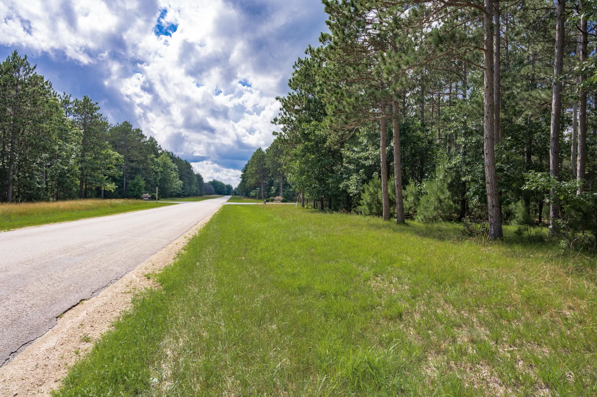 Lot 23 Dover Friendship, WI 53934 - Photo 3 of 15