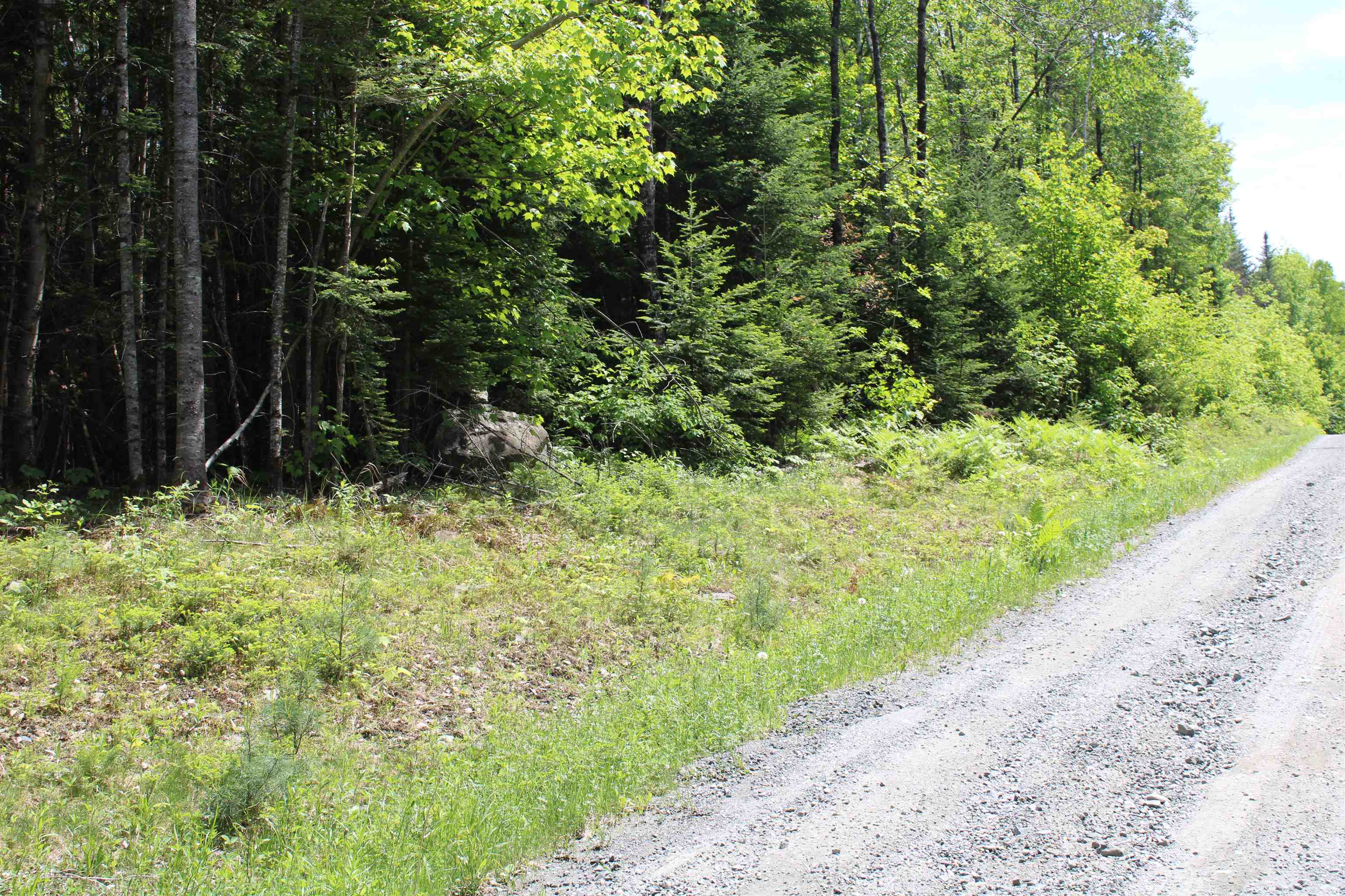 None Long Hill Road, Unit 1 Concord, VT 05824 - Photo 3 of 3