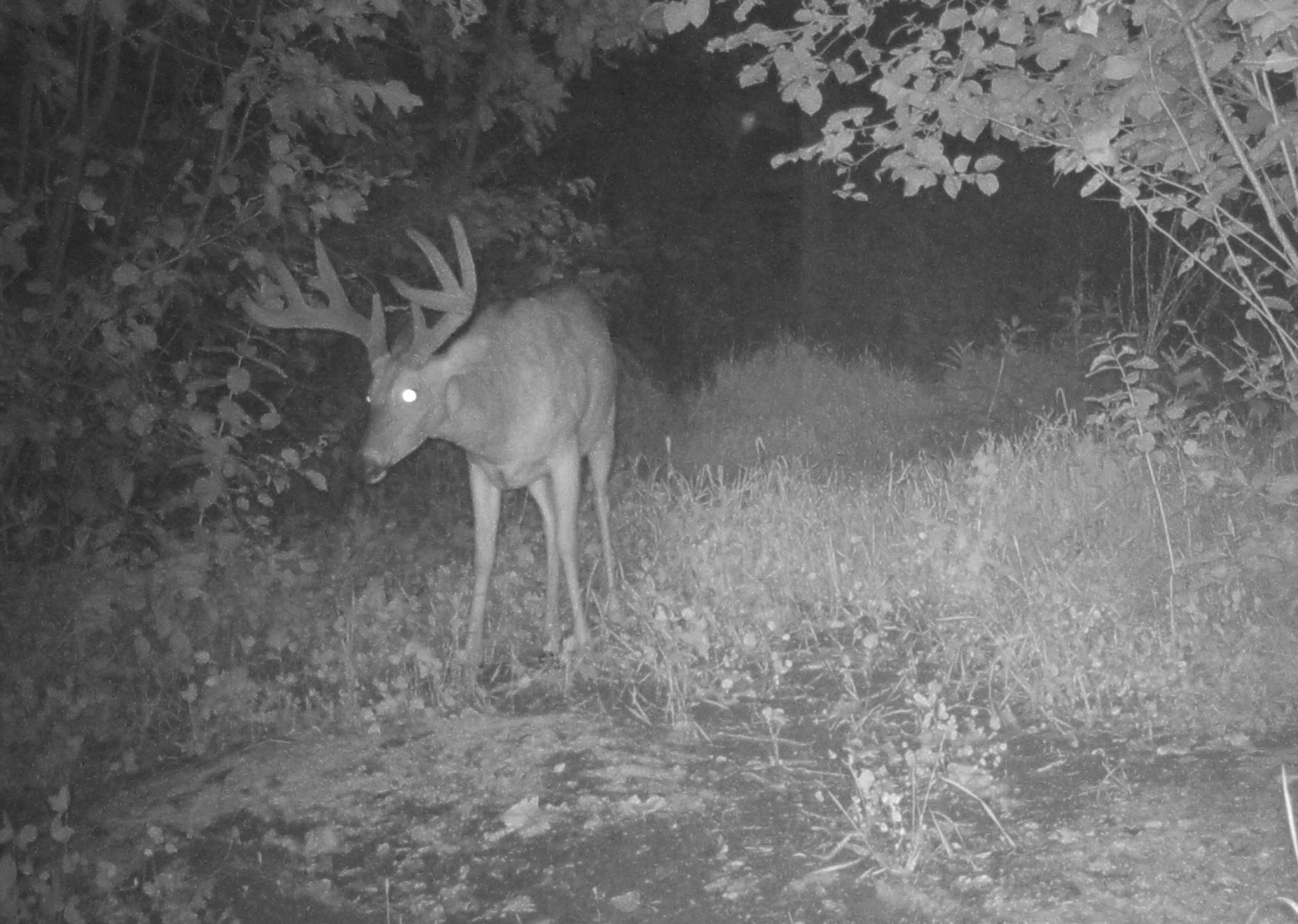 Tbd 140 Street Frazee, MN 56544 - Photo 136 of 149