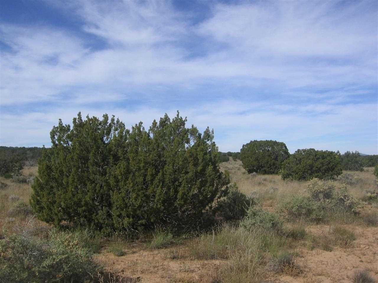 5173 North Ripine Lane Heber, AZ 85928 - Photo 2 of 9