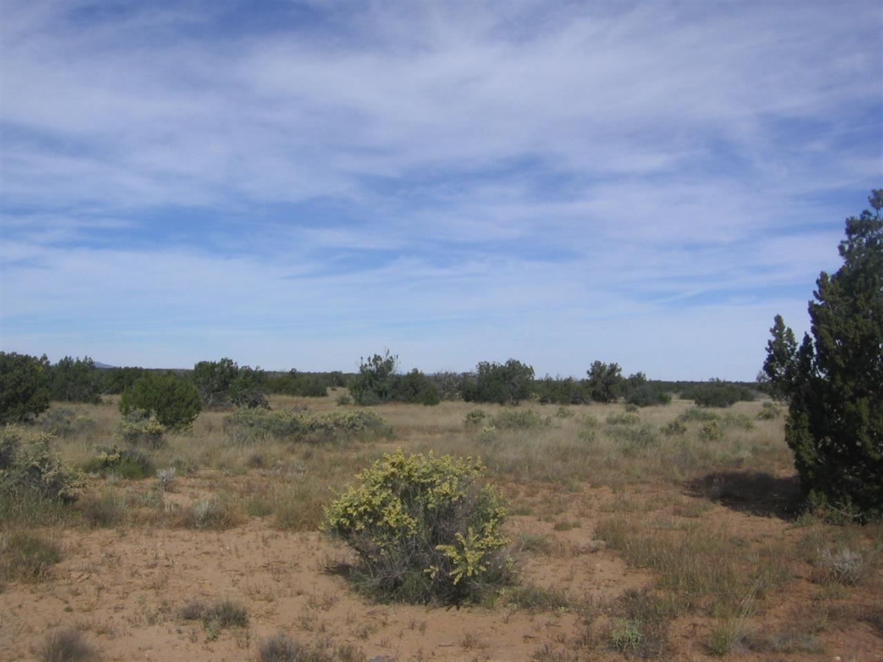 5173 North Ripine Lane Heber, AZ 85928 - Photo 3 of 9