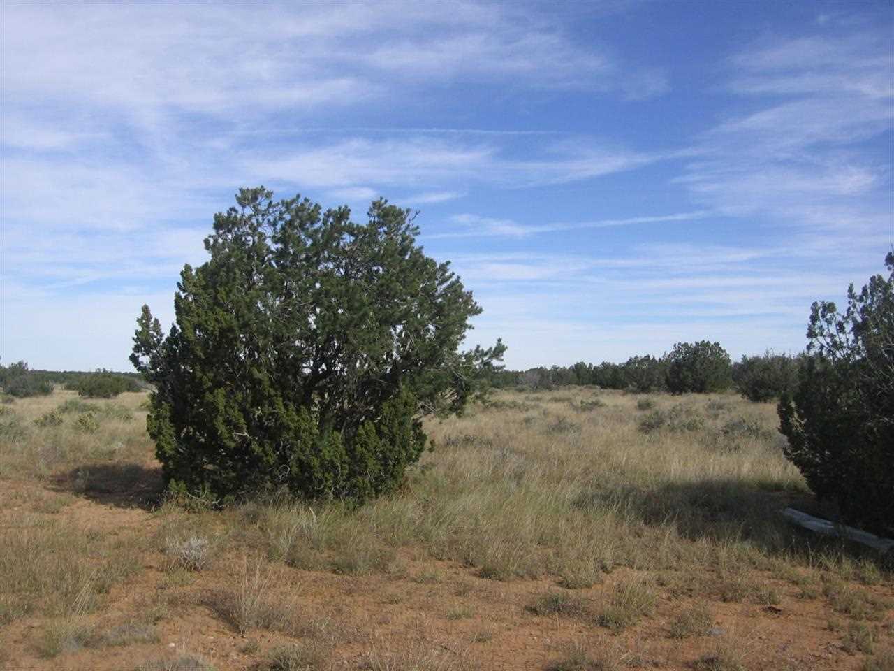 5173 North Ripine Lane Heber, AZ 85928 - Photo 4 of 9