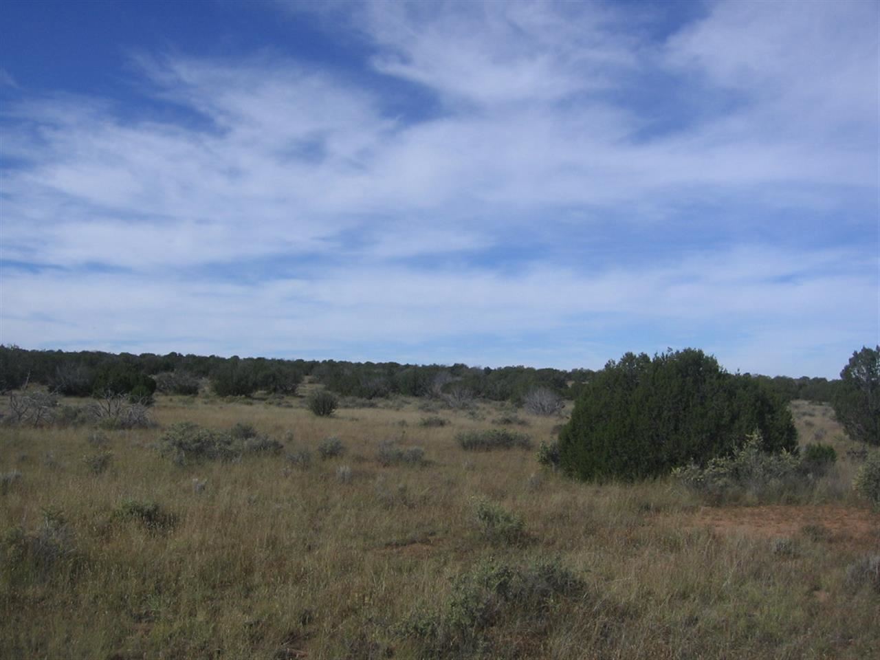5173 North Ripine Lane Heber, AZ 85928 - Photo 7 of 9