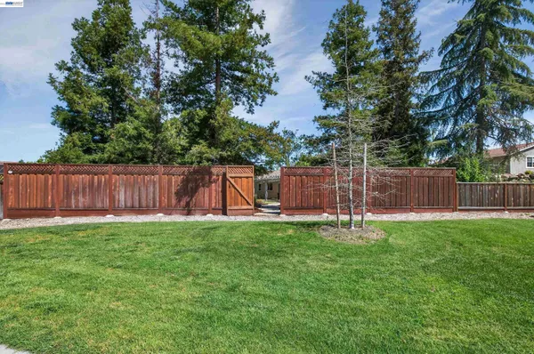 a view of a back yard