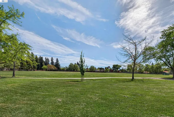 a view of outdoor space with garden and trees