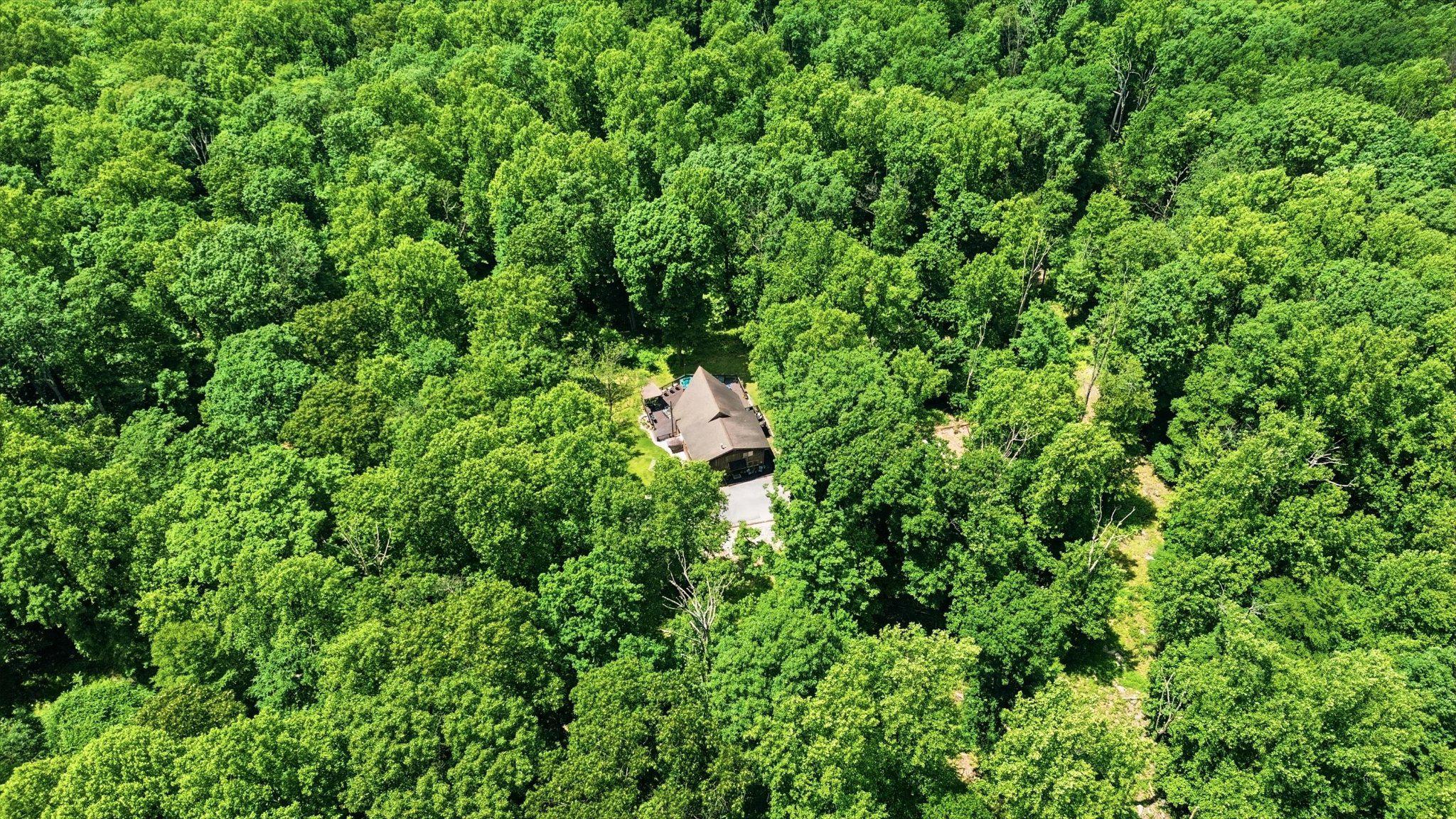 8939 Hawbottom Road Middletown, MD 21769 - Photo 10 of 92
