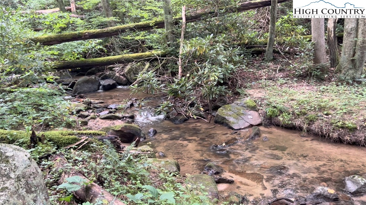 1980 Mountaindale Road Vilas, NC 28692 - Photo 4 of 25 a view of an outdoor space