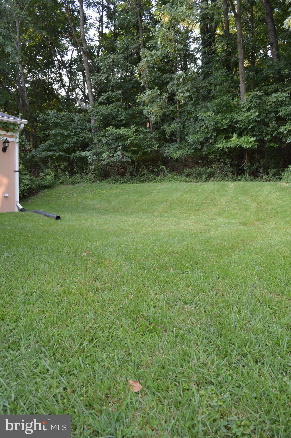 6111 Western Run Drive Baltimore, MD 21209 - Photo 23 of 27 a view of a garden