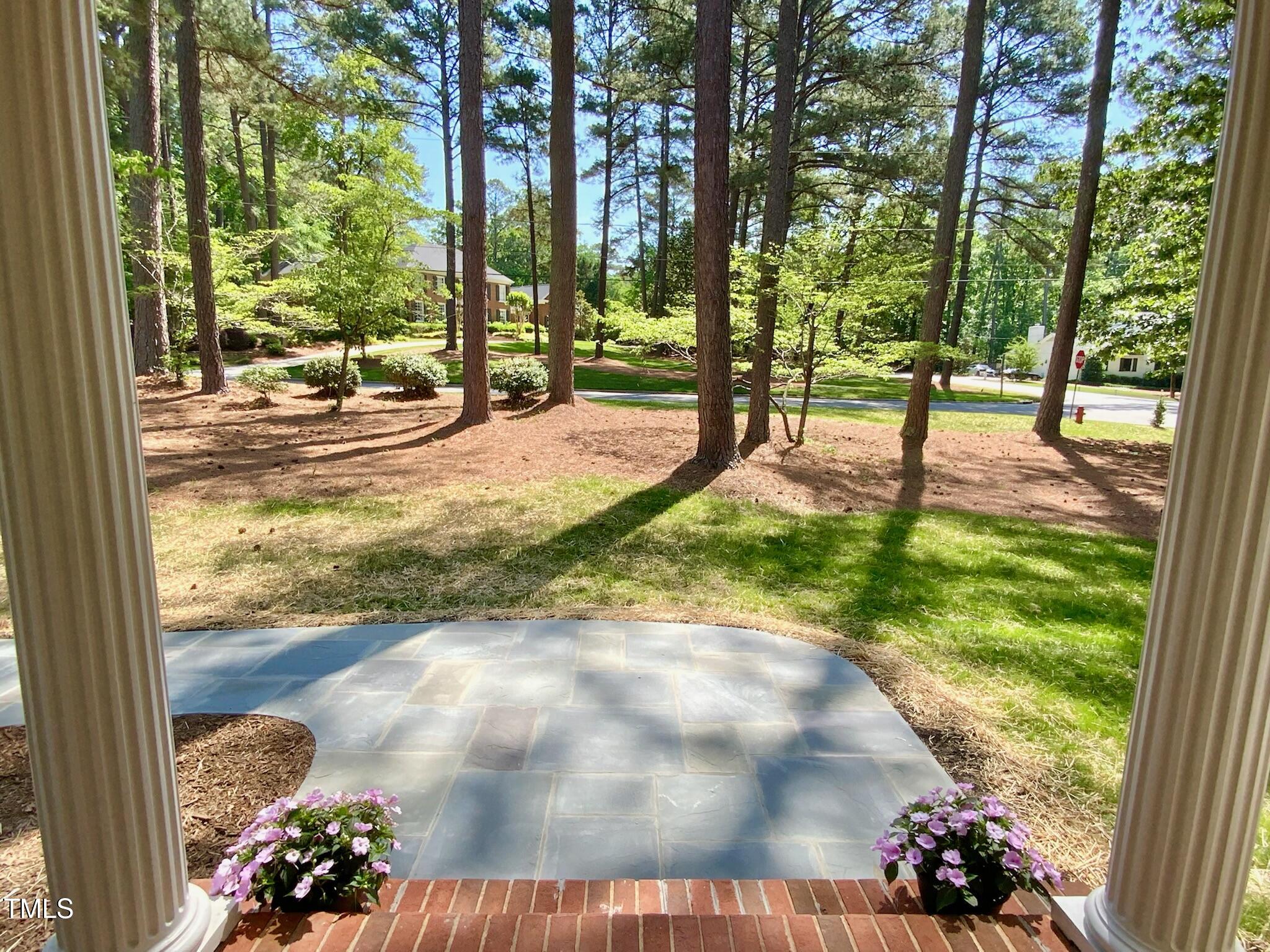 3838 Regent Road Durham, NC 27707 - Photo 15 of 55 a view of yard