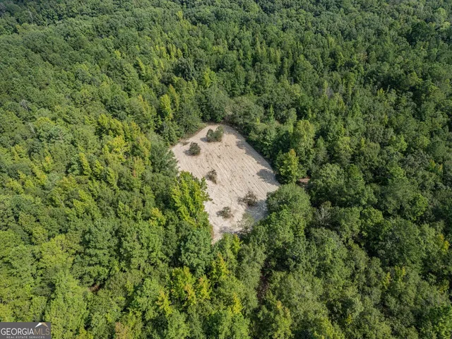 $545,136 | 0 Balerma Church Road, Sparta, GA 31087