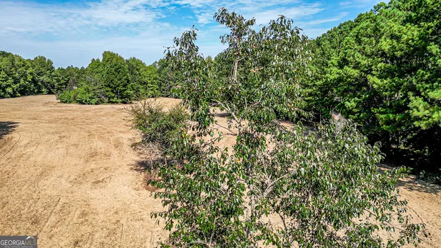 $545,136 | 0 Balerma Church Road, Sparta, GA 31087